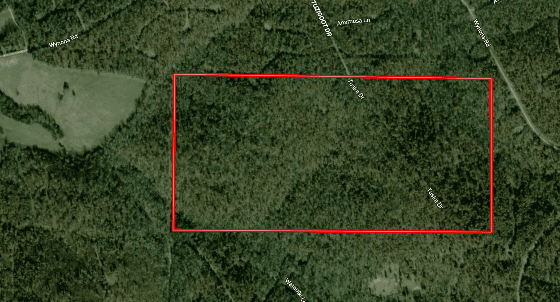 Prime Arkansas Ozarks Hunting Land